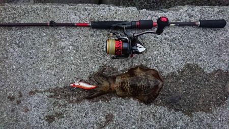 青物調査のハズが？