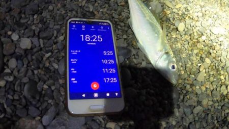 アジの半夜釣り