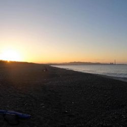 カツオ本格化の兆し