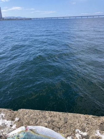 セットアッパーは偉大