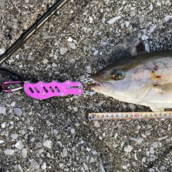 やっぱり熱い中泊!