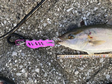 やっぱり熱い中泊!