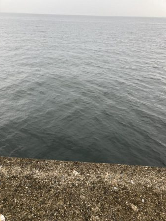 泉佐野1文字 ショアジギング