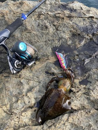 9月前半並へサイズダウン