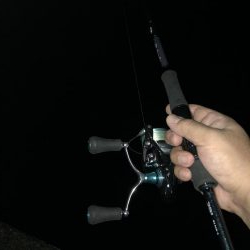 今年は渋いかも…