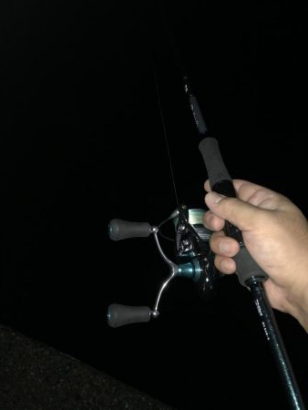 今年は渋いかも…