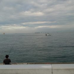 タチウオ小さい