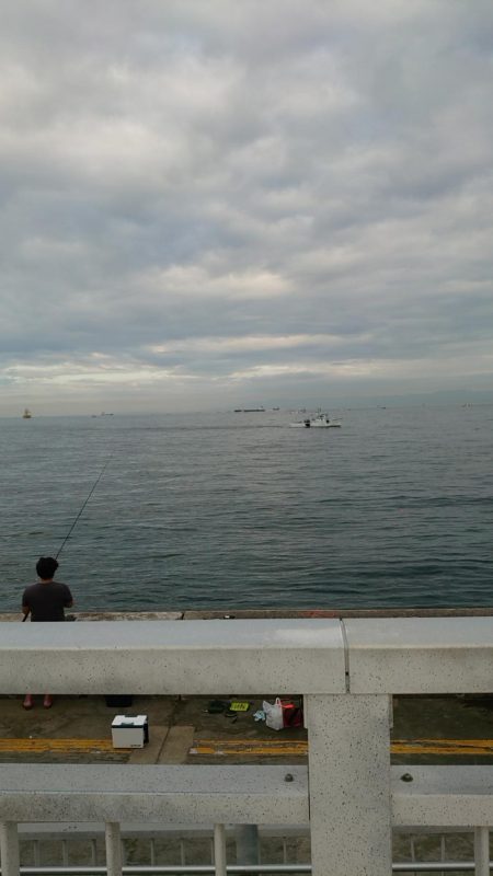 タチウオ小さい