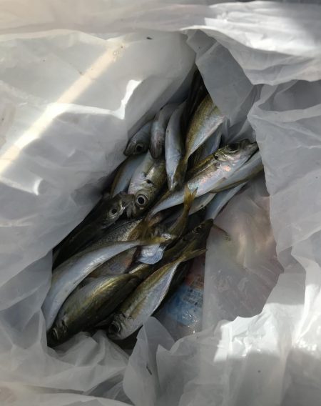 アジの南蛮漬けが食べたい！！