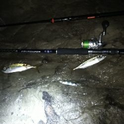 ショアジグサビキで小サバ