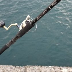 場所を変えるとサイズアップ