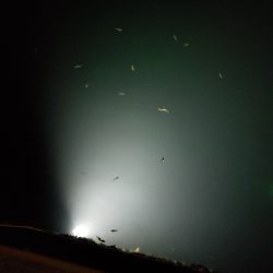 渋すぎる。。。