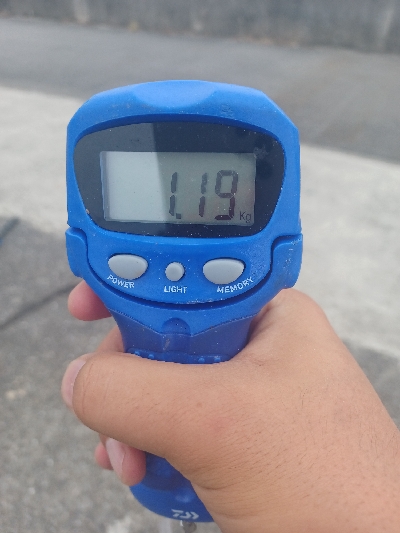 まさかのキロアップ