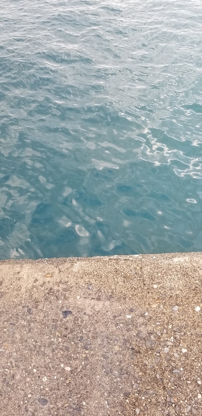 青物からキス狙いまで