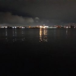 タチウオ下降気味!?