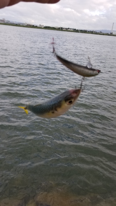 淀川でサバゲー。