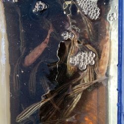 のませでガシラが釣れました