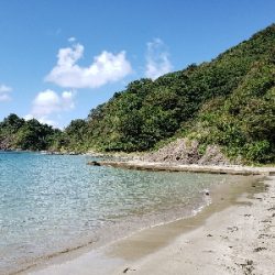 天気良く遠征！