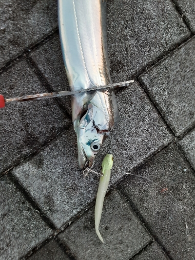 平日にも関わらず混みすぎ