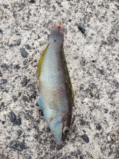 全然反応がない、。