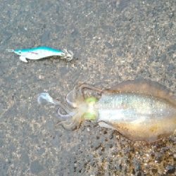 けっこうな雨の中