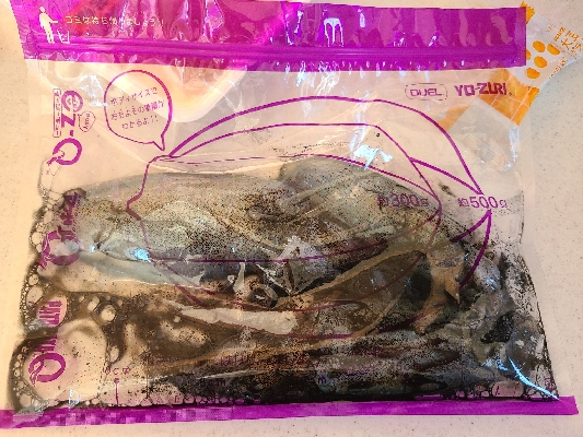 アオリ大きくなってます！