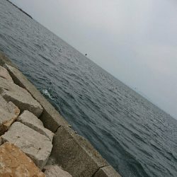 爺さん婆さんが帰って来るまでの釣行>゜)))彡