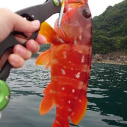 レンタル手漕ぎボート