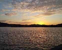 タチウオ夜釣り