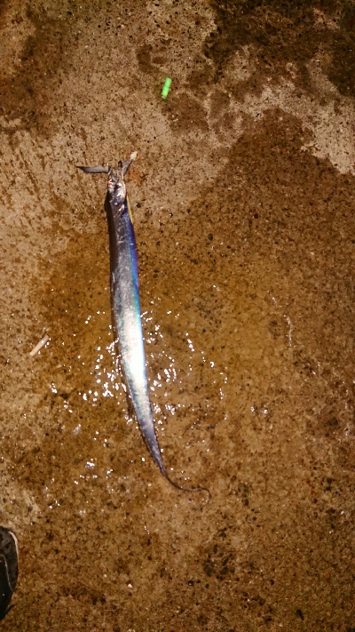 タイミング次第かな