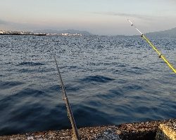 夕マズメの時合