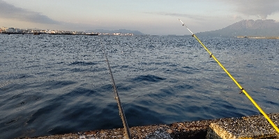 夕マズメの時合