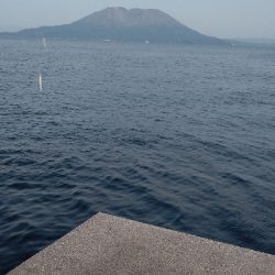 夕マズメにネイゴ(カンパチ)