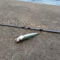 ライトショアジギング