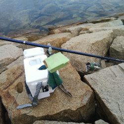 室津のキス釣り