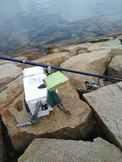 室津のキス釣り