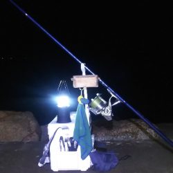 苅屋海岸のキス釣り