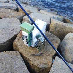 室津のキス釣り