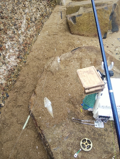 室津のキス釣り