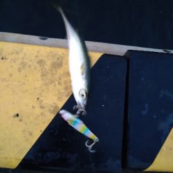 癒やしの虹&サバゲー