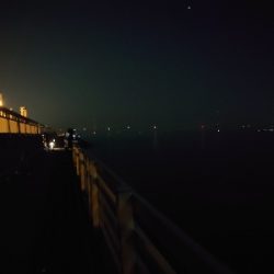 アルコールの肴を求めて…