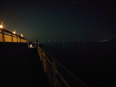 アルコールの肴を求めて…