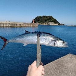 香住　青物遠征