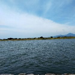 少しサイズアップ