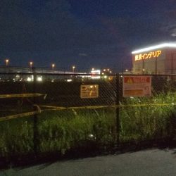 イケヤ裏釣果サバ