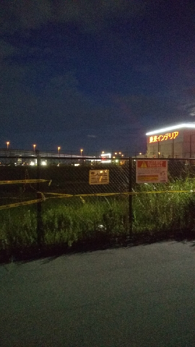 イケヤ裏釣果サバ