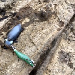 シーズン開幕!ロッド墨付け!