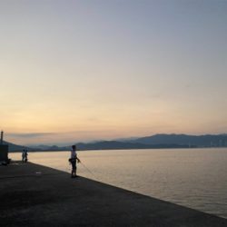 今年初太刀魚！！