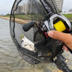 駐車場横でサクッと釣って帰る