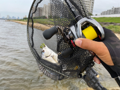 駐車場横でサクッと釣って帰る
